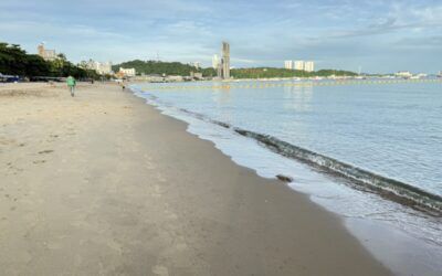 พบฝูงแมงกะพรุนตายลอยเกยหาดพัทยาเกลื่อน ทำเอานักท่องเที่ยวไม่กล้าลงเล่นน้ำทะเล